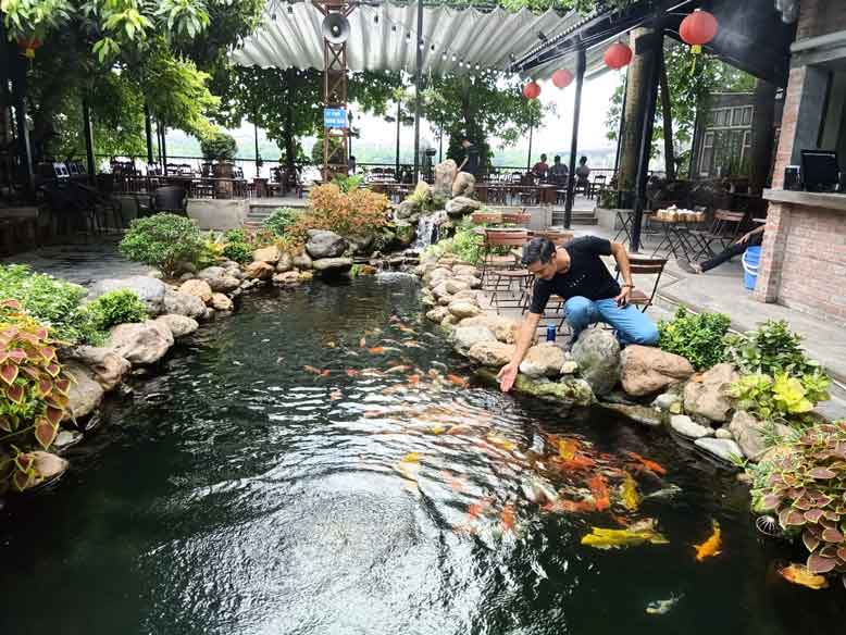 thiết kế quán cafe sân vườn