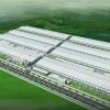 Thi công nhà xưởng BellinTurf | Dự án tiêu biểu Gia Bảo Group